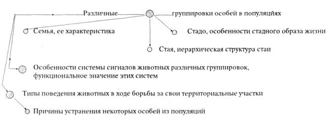 Функциональные группировки